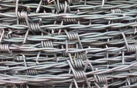 Barbed Wire